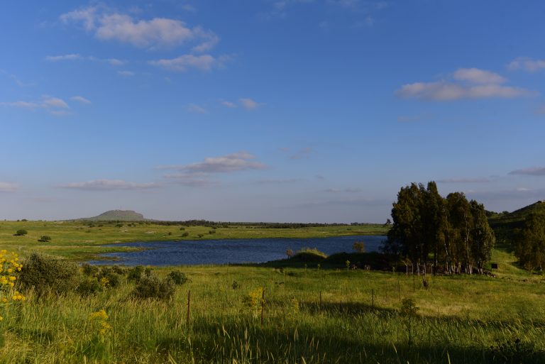 תמונת נוף עם אגם